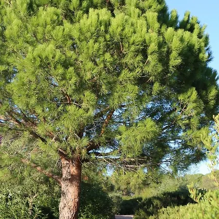 Casa Mia Lägenhetshotell Porto-Vecchio (Corsica)