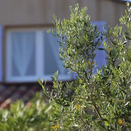 Casa Mia 3*
