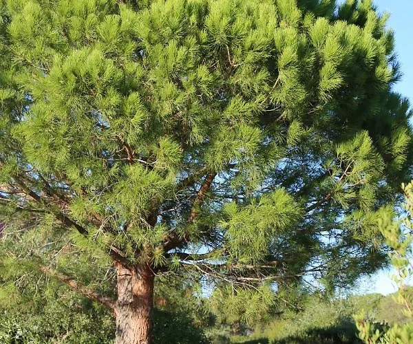 Casa Mia Ξενοδοχείο με διαμερίσματα Πόρτο Βέκιο