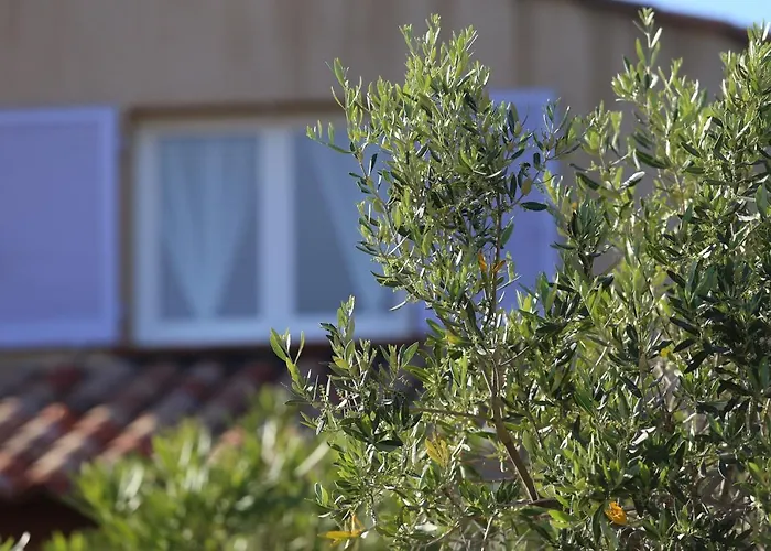 Casa Mia 4*